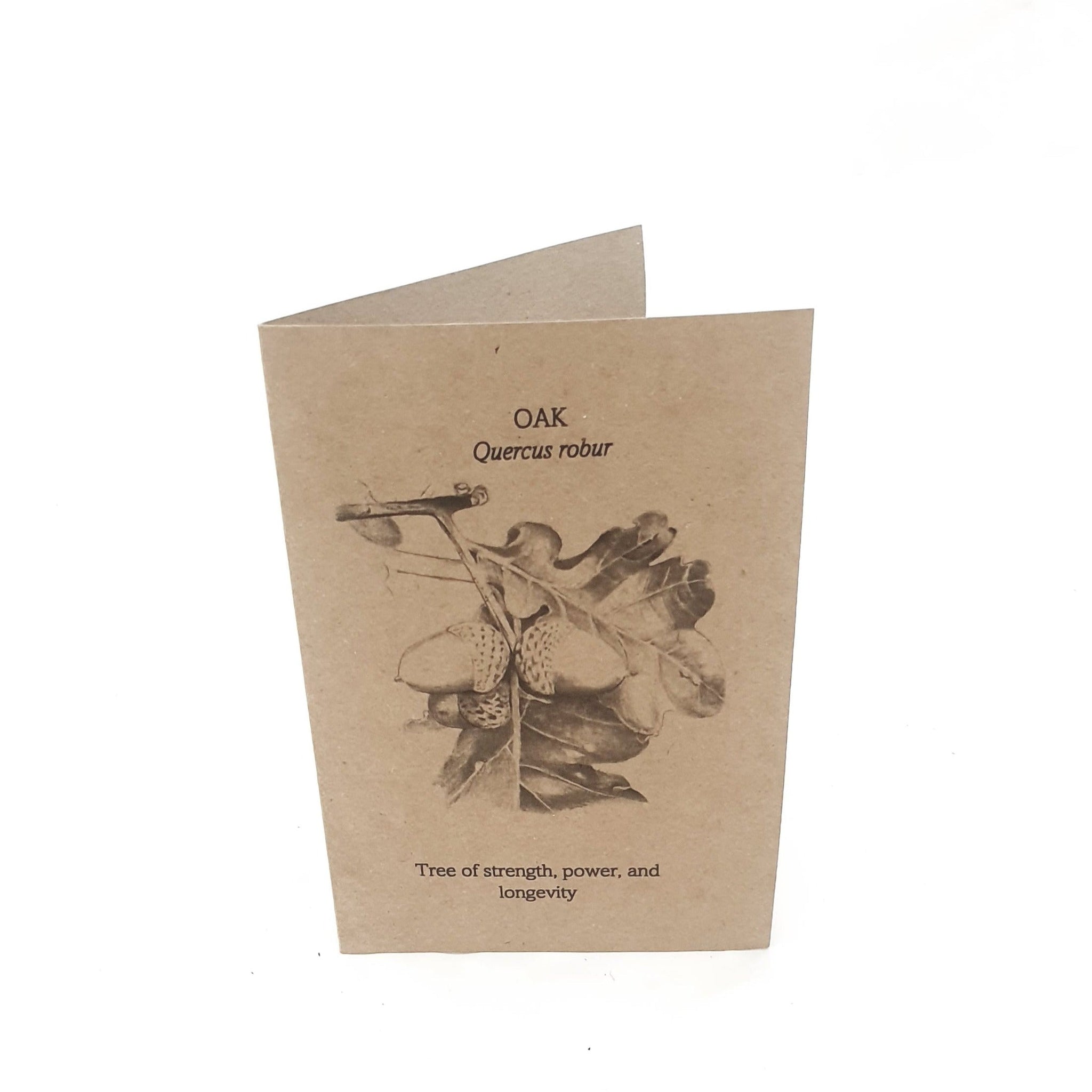 Oak - Tree of strength, power and longevity