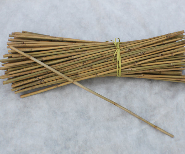 Bundle of Canes